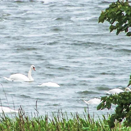 2 Bedroom Cozy In Сasa de vacaciones Osieki (Koszalin)