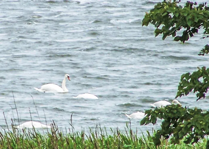 2 Bedroom Cozy In Σπίτι διακοπών Osieki (Koszalin)